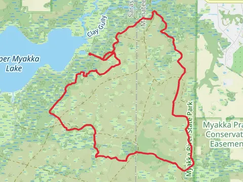 Myakka Hiking Loop Trail