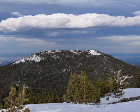 Williams Creek Trail