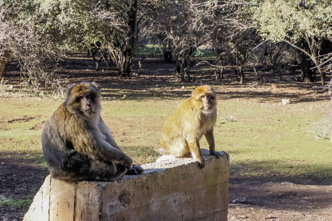 Monkey Loop Trail