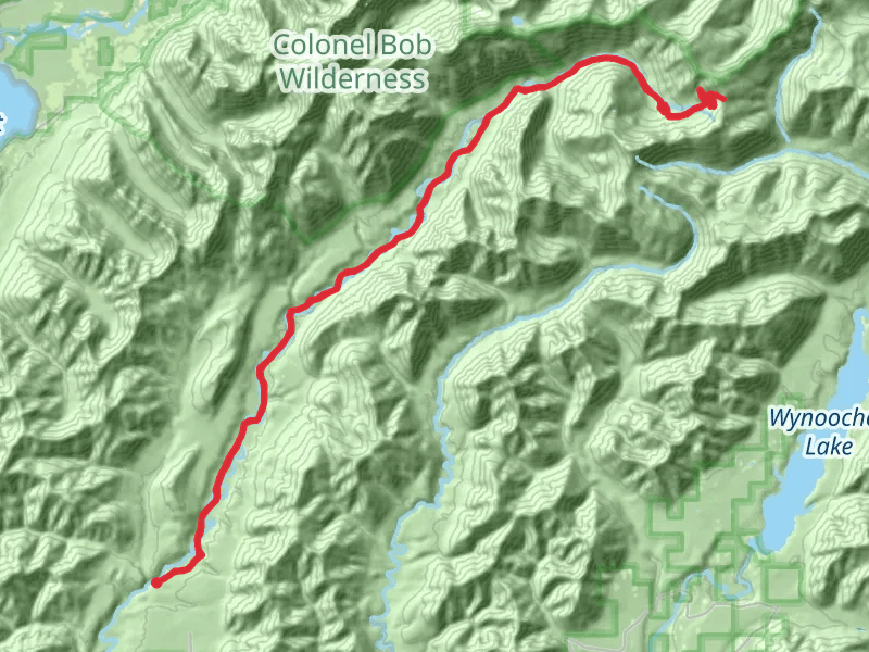 West Fork Humptulips Trail