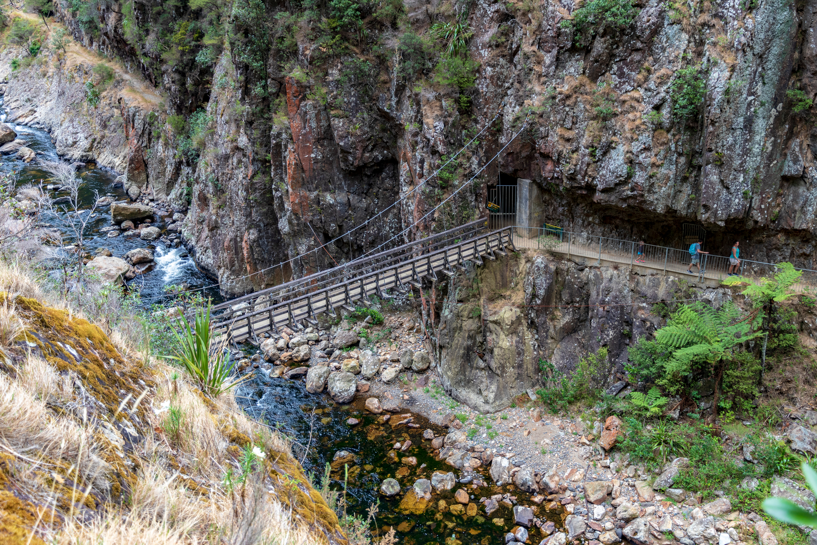 An image depicting the trail Karangahake Mountain Track Loop and its surrounding area.