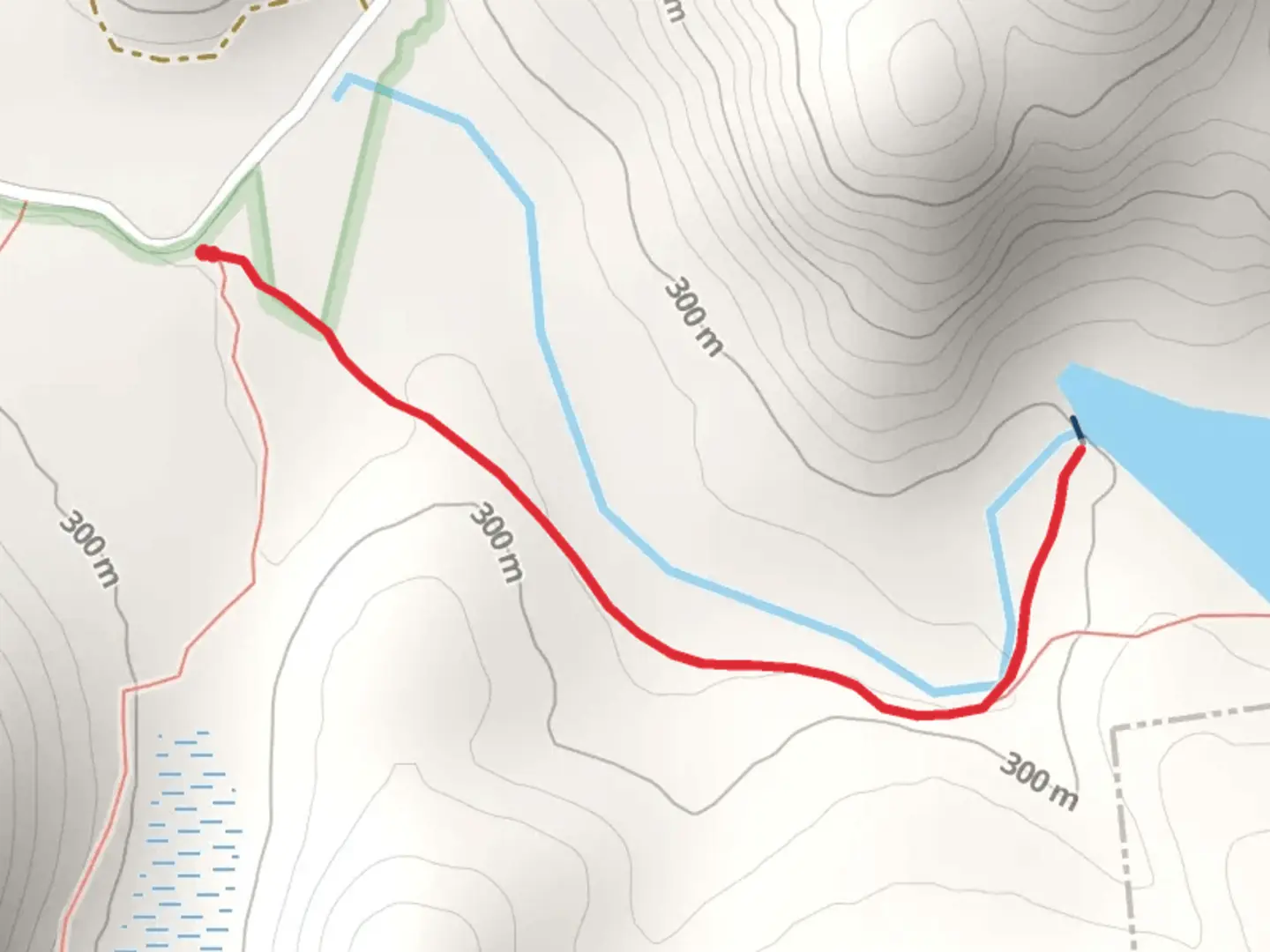 An image depicting the trail Hammond Pond Trail and its surrounding area.