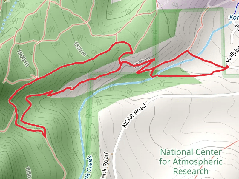 Skunk Canyon and Kohler Mesa Loop Trail