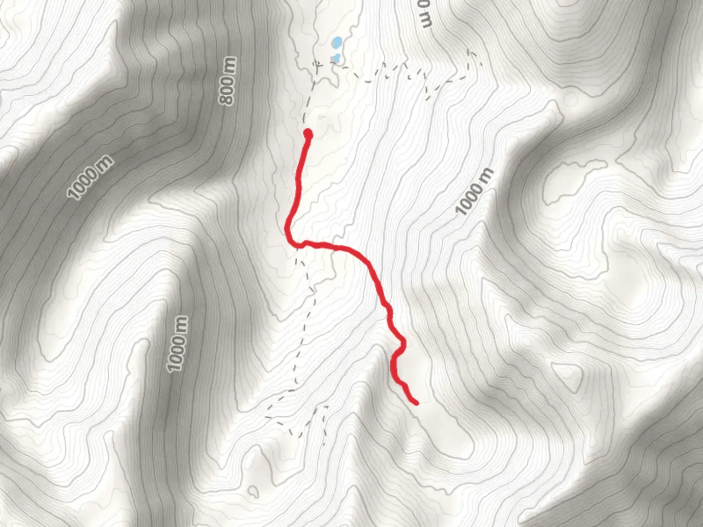 An image depicting the trail Palmer Creek and its surrounding area.