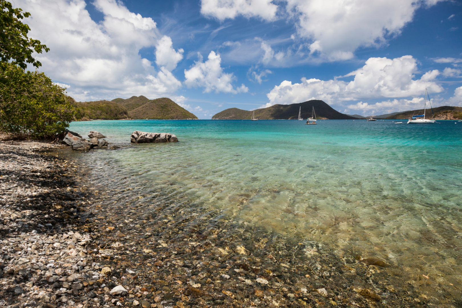 An image depicting the trail Leinster Bay Trail and its surrounding area.
