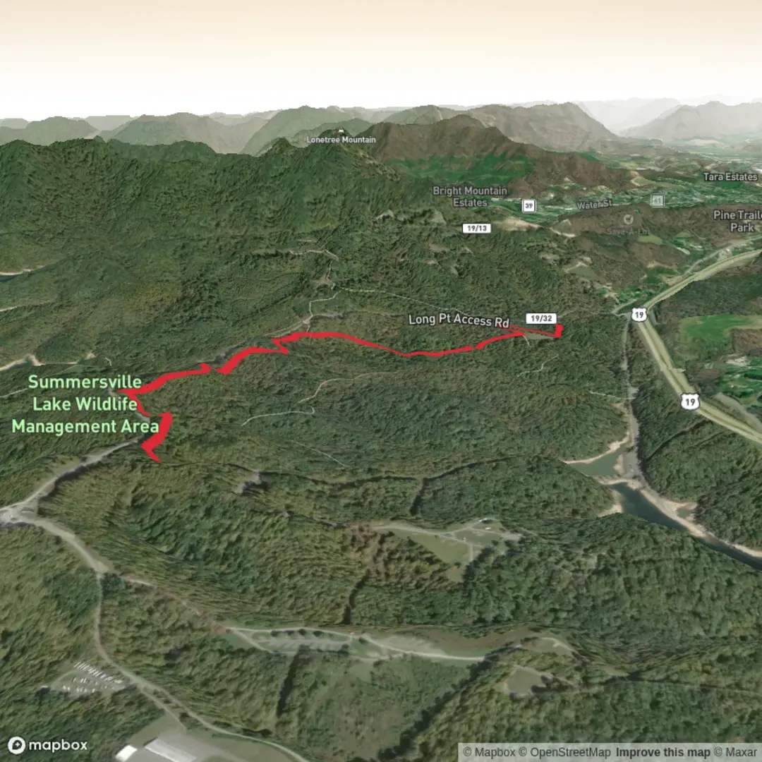 An image depicting the trail Carpetpine Trail and its surrounding area.