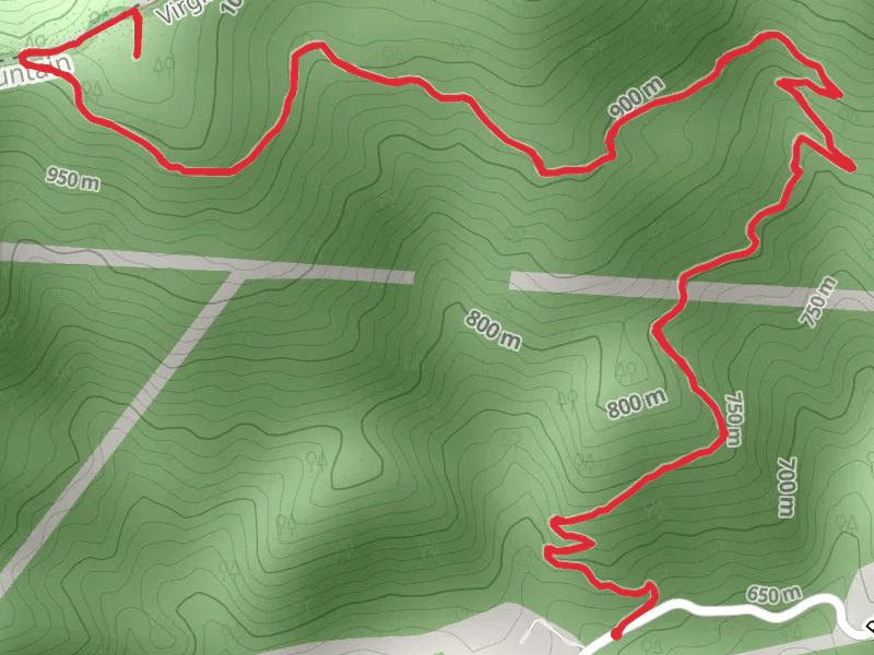 Appalachian Trail from Pocahontas Road