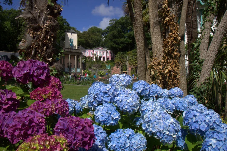 Portmeirion Loop