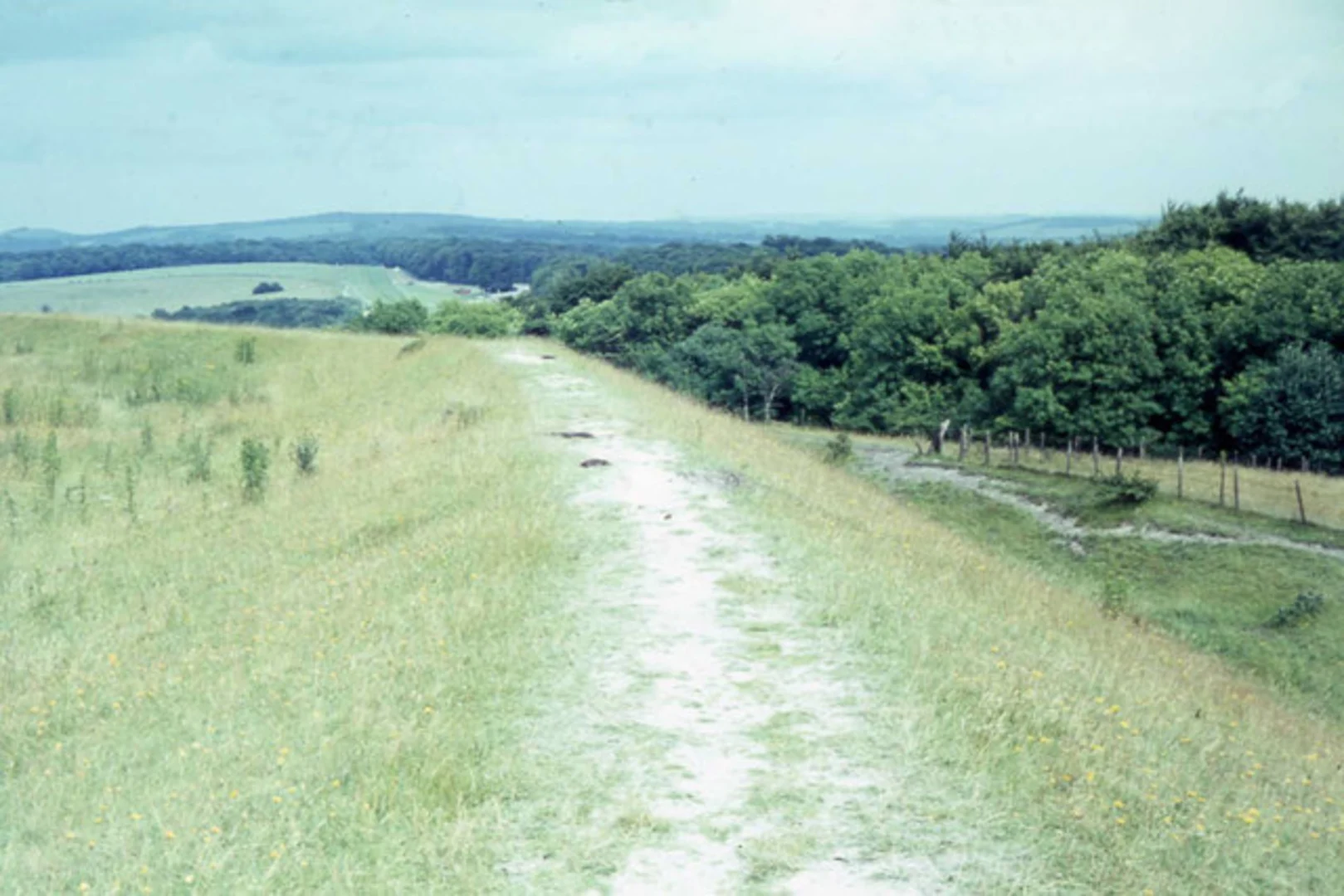 The Trundle Loop | West Sussex | England