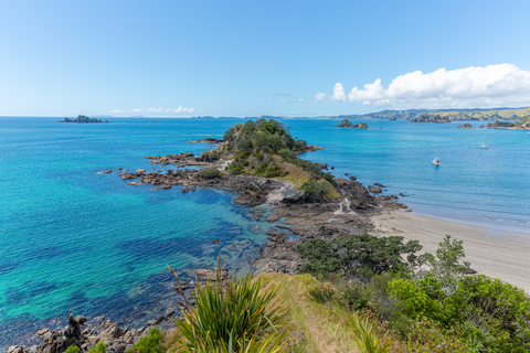 Oakura Beach Walk
