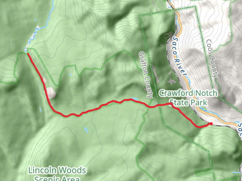 Ethan Pond Trail - Zealand Pond Trail
