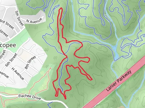 Tortoise Loop Trail