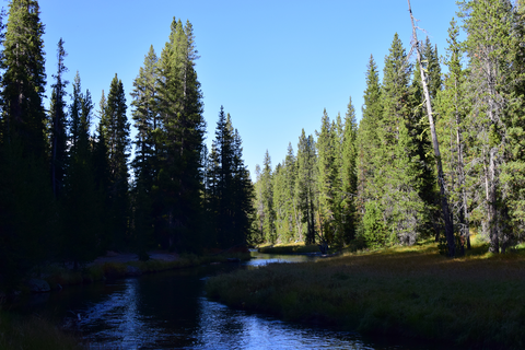 Lone Star Geyser Trail