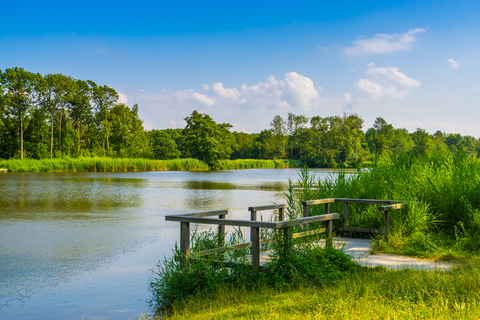 Bergen op Zoom to Ossendrecht via Markiezaatsmeer