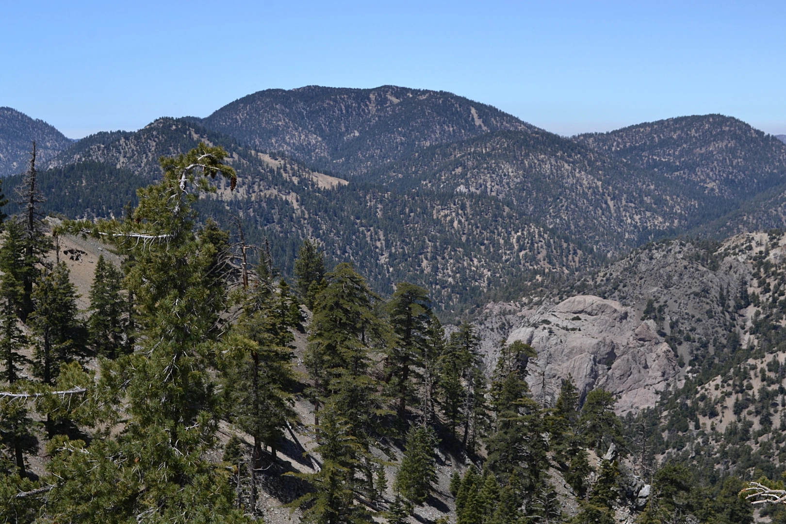 An image depicting the trail Waterman Mountain Loop and its surrounding area.