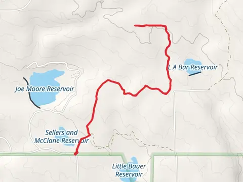 Upper Little Bauer Trail