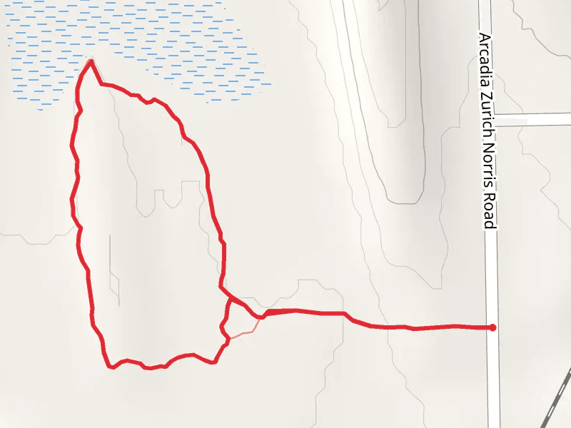 Zurich Bog Trail Loop