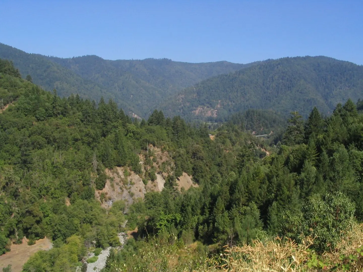 An image depicting the trail Masterson Meadow Lake via PCT and its surrounding area.