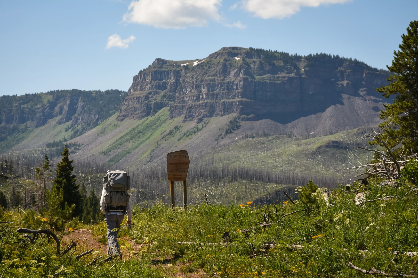 An image depicting the trail Trappers Lake - Devil's Causeway Loop and its surrounding area.