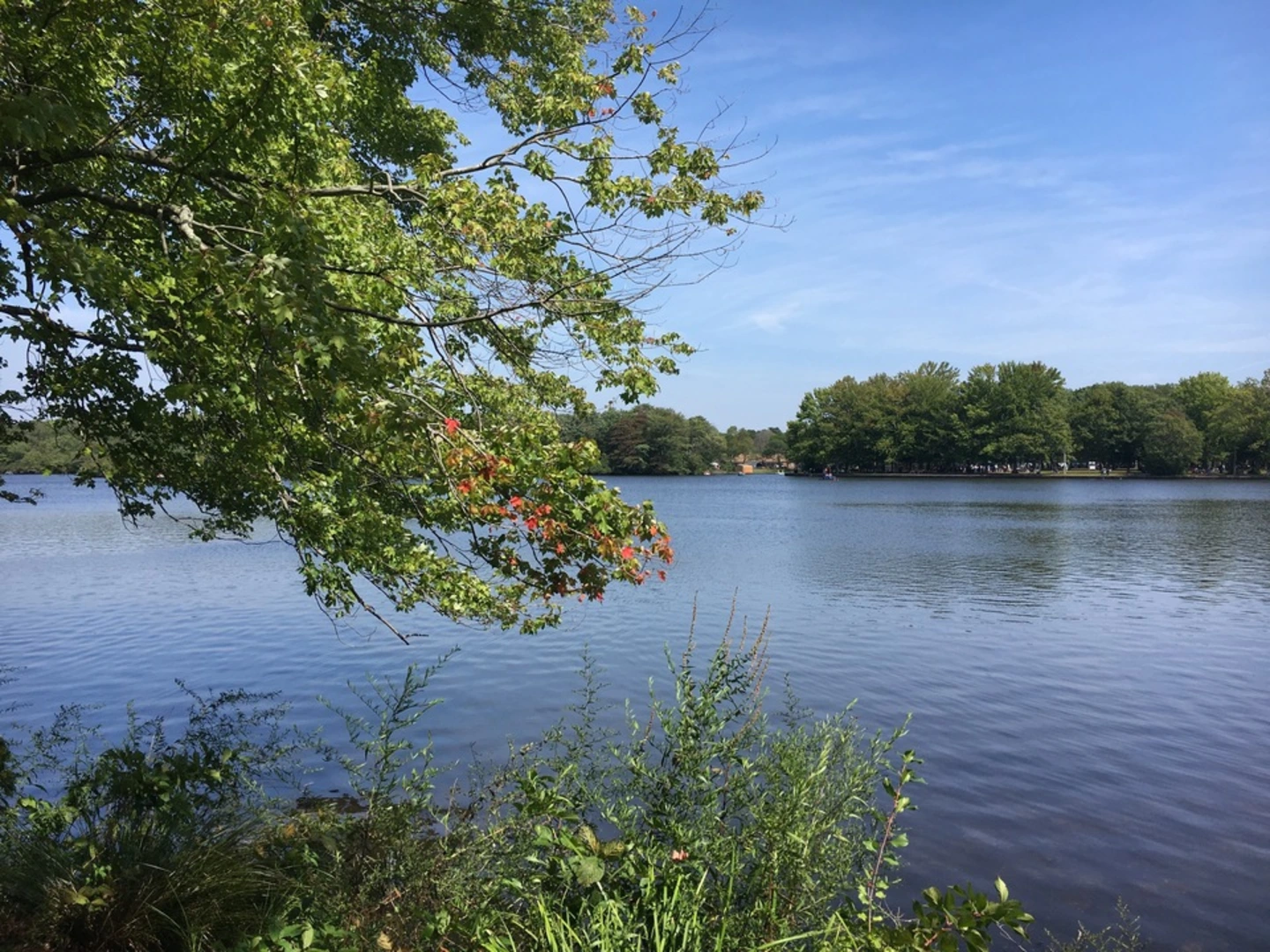 An image depicting the trail Belmont Lake Trail via Belmont Lake State Park and its surrounding area.