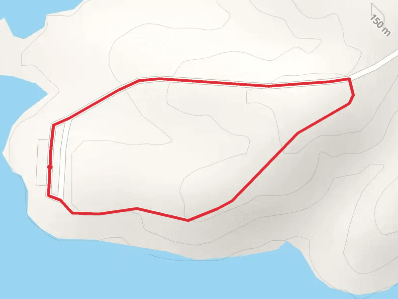 Forest Trail Loop