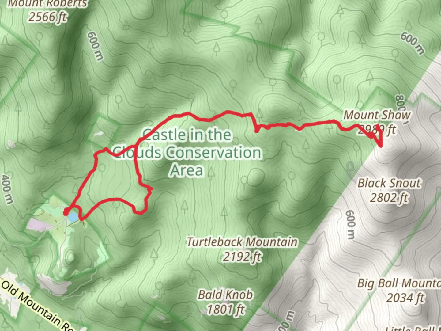An image depicting the trail Shannon Pond to Mount Shaw Trail and its surrounding area.