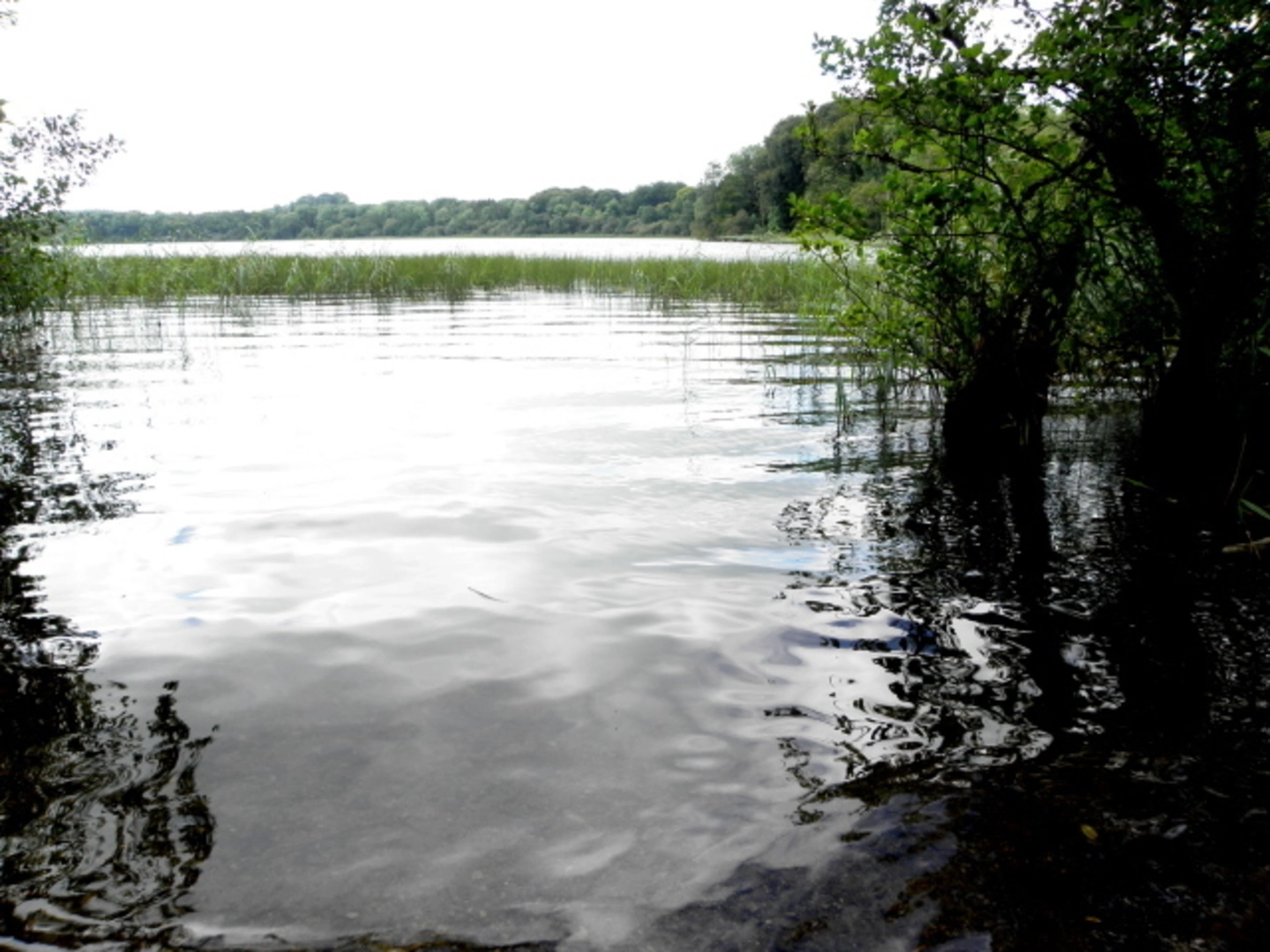 An image depicting the trail Brantry Lough and its surrounding area.