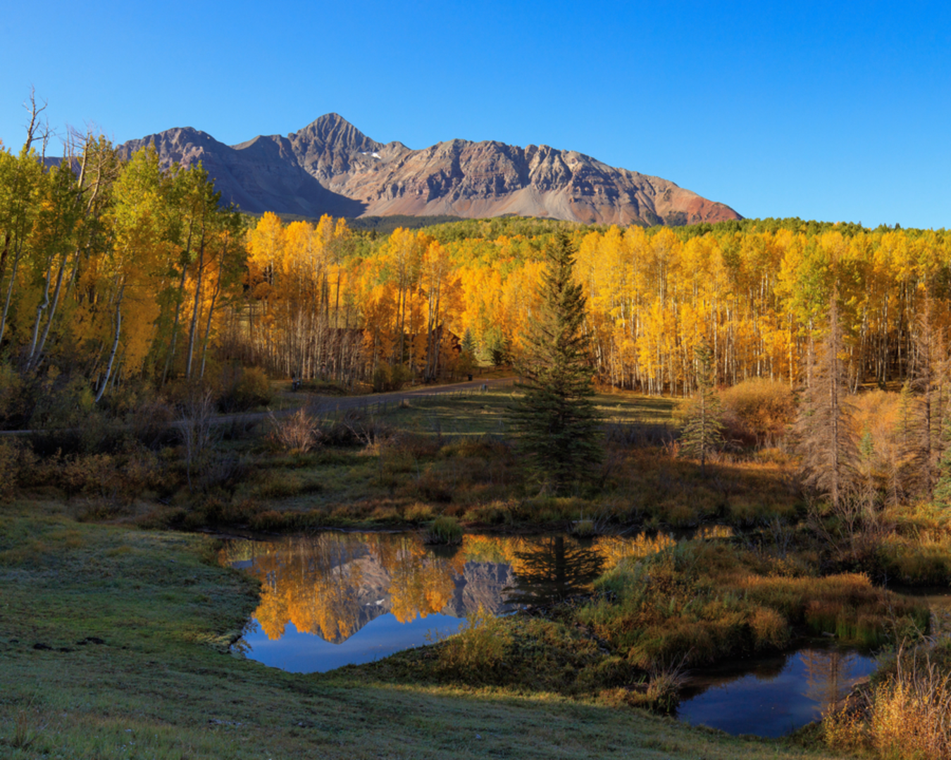 An image depicting the trail Lynch Creek Trail and its surrounding area.