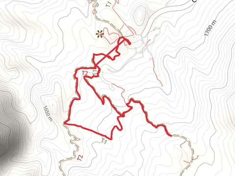 Laguna Meadows Loop Trail