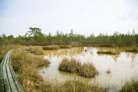 Wood and Waters Trail, Heron Marsh Trail and Barnum Brook Trail