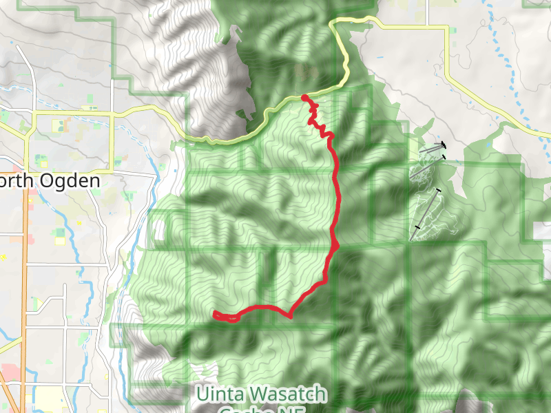 Eyrie Peak and Lewis Peak Trail