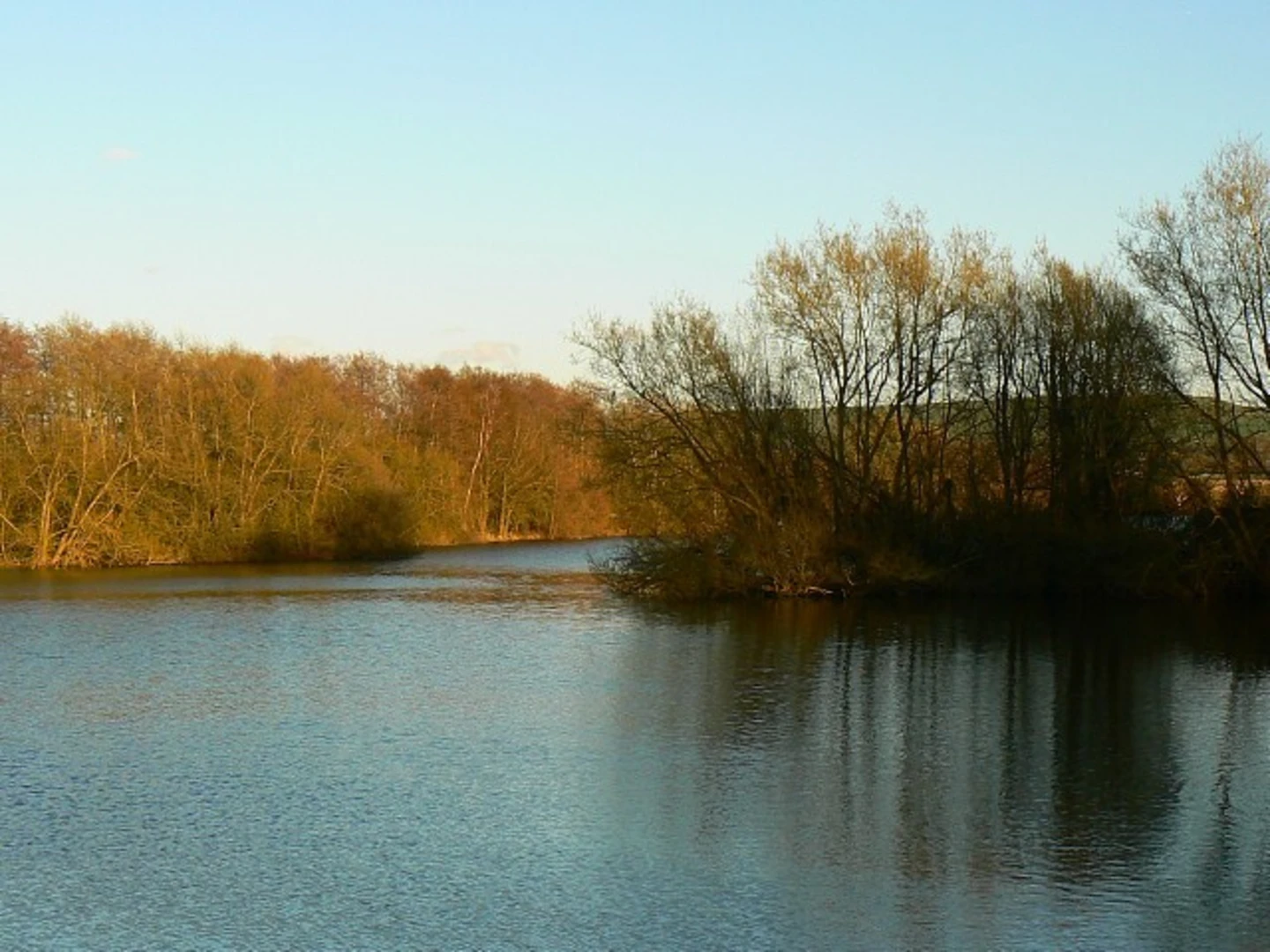 An image depicting the trail Coate Water Country Park Loop and its surrounding area.