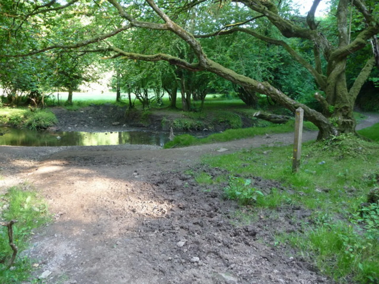 An image depicting the trail Bishopston Valley Walk and its surrounding area.
