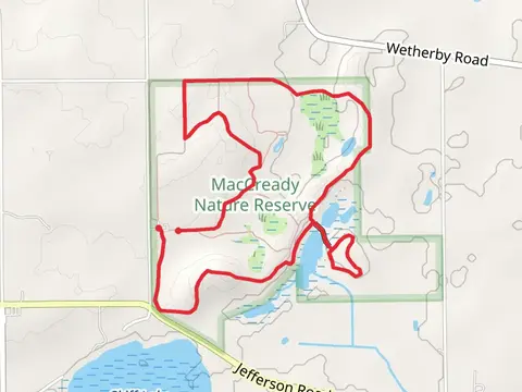 Red Access and Blue Access Loop