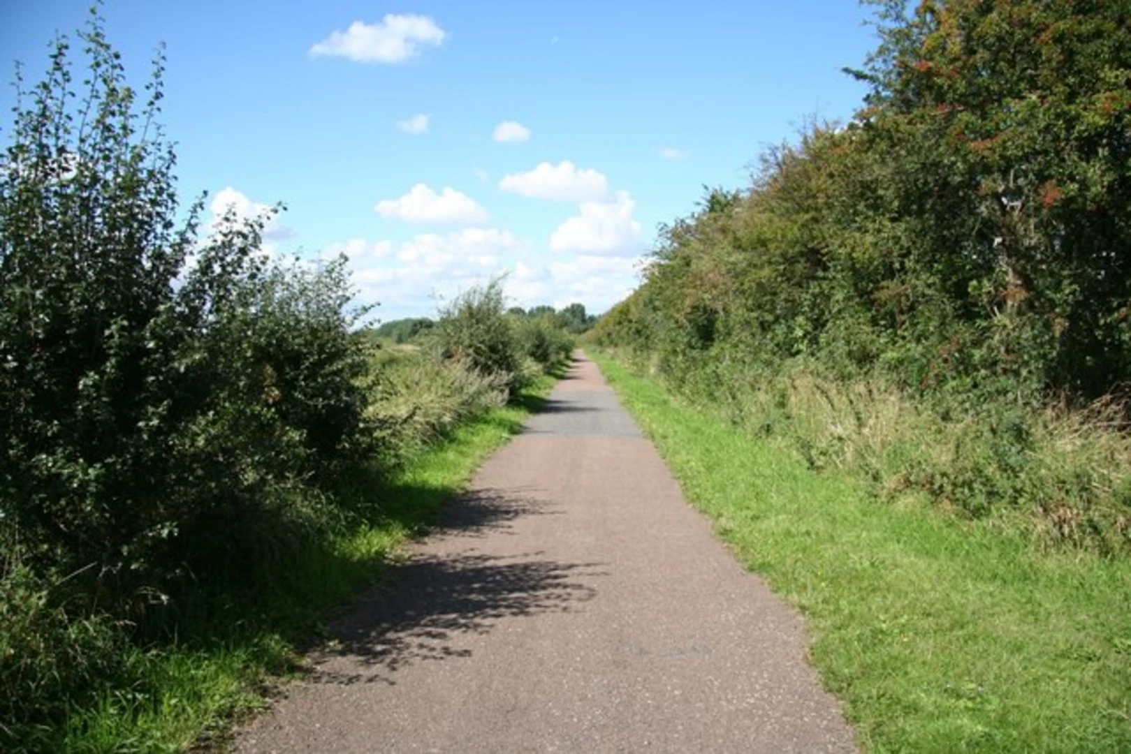 An image depicting the trail Water Rail Way and its surrounding area.