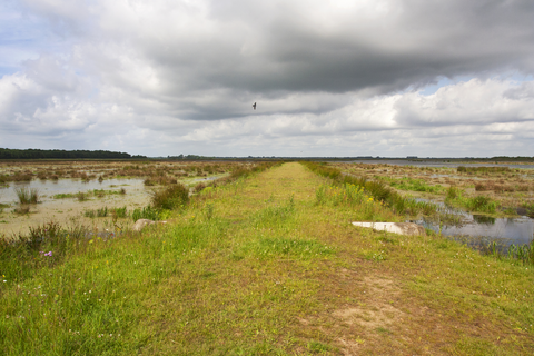 Roomsloot, Baarlingerpolder and Noorderpolder Loop