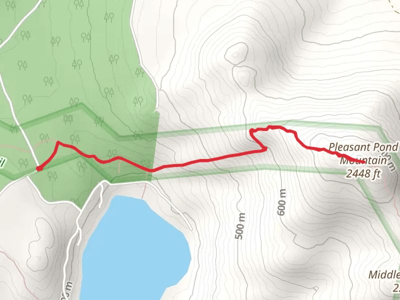 Pleasant Pond Mountain Trail