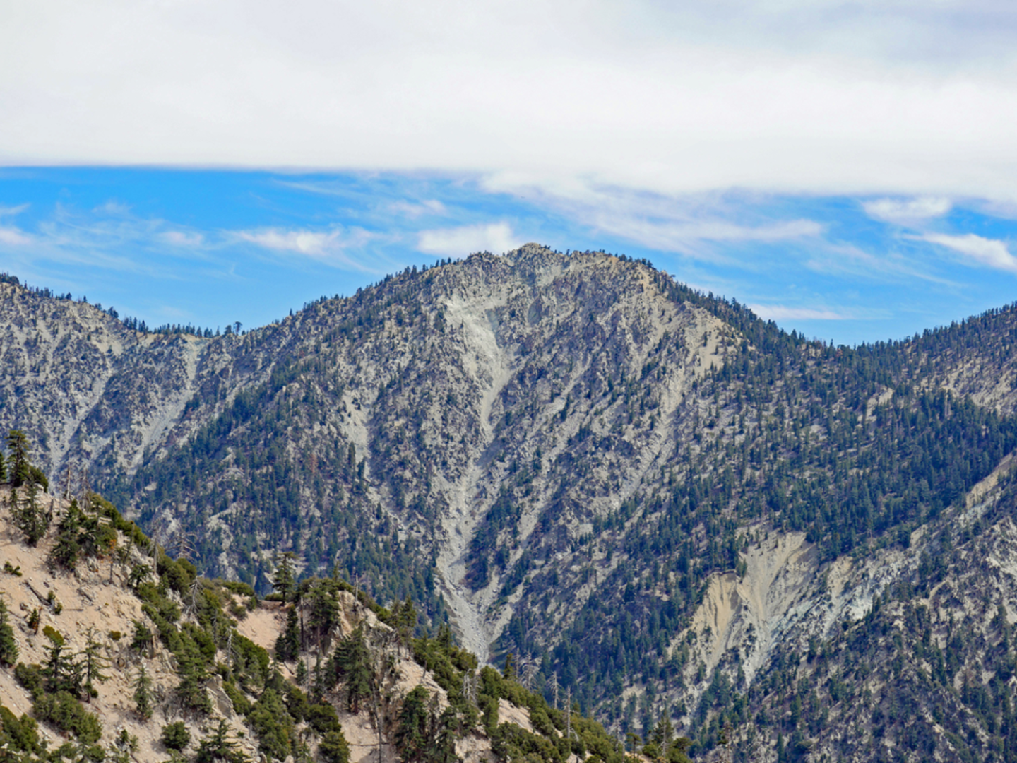 An image depicting the trail Wilshire Peak Trail and its surrounding area.