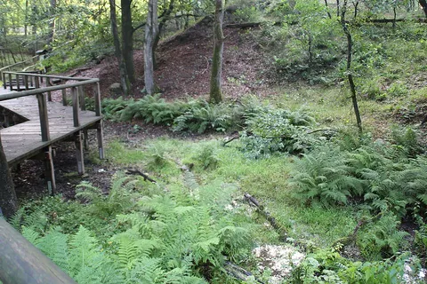 Aussichtsplattform Emsquelle via Heideland Rundwanderweg and Emsquellen Rundwanderweg