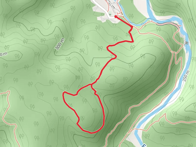 Taum Sauk Trail and Horseshoe Glade Trail