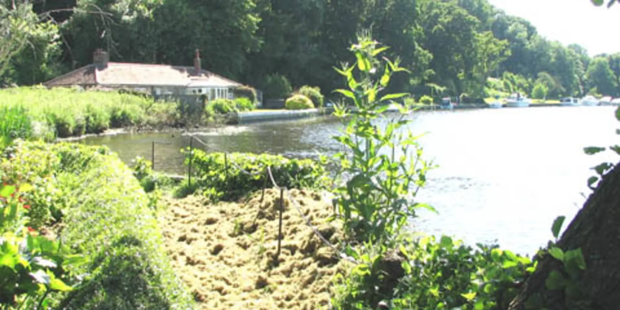 An image depicting the trail Bramerton Riverside Short Walk and its surrounding area.