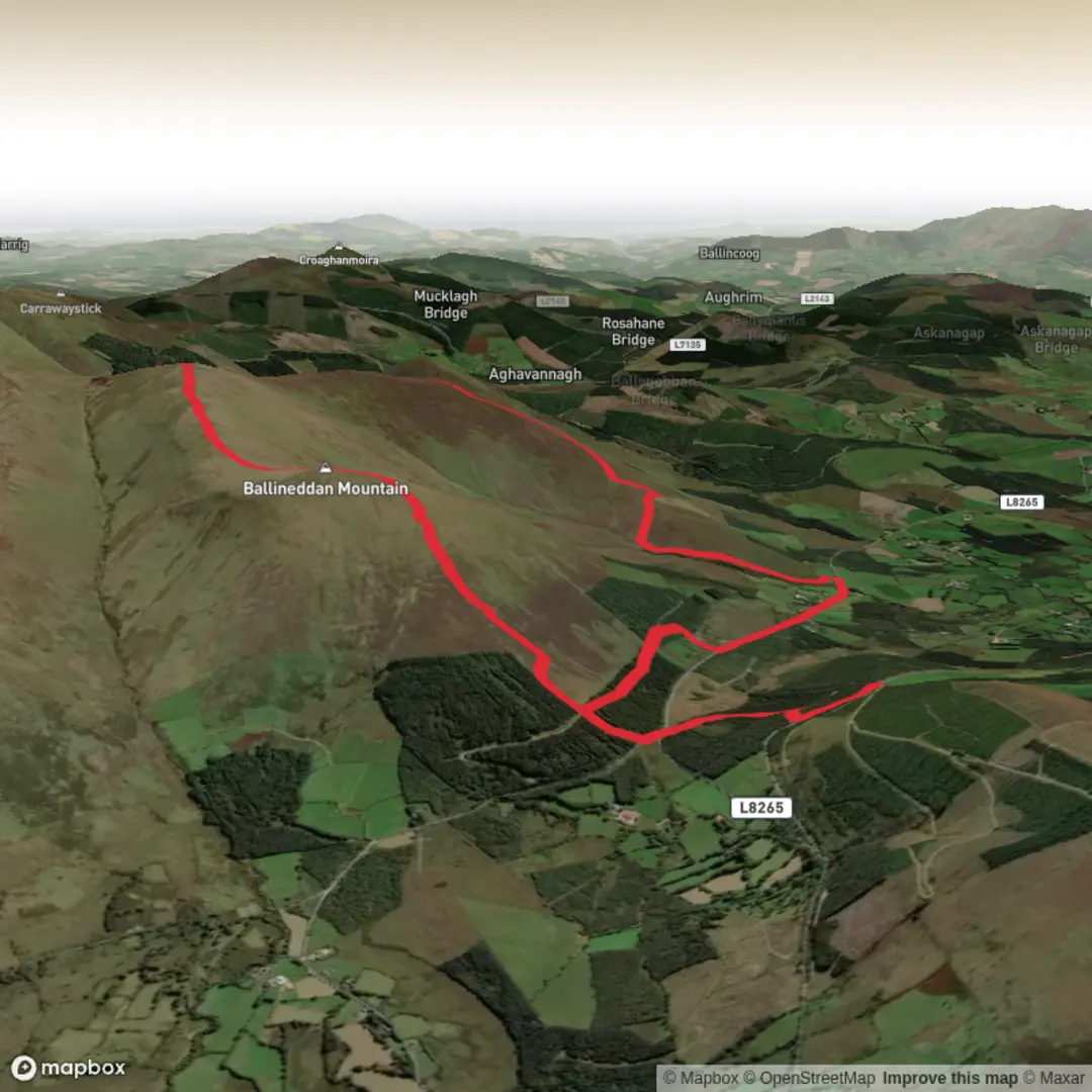 An image depicting the trail Ballineddan Mountain and Toorboy Mountain Loop and its surrounding area.
