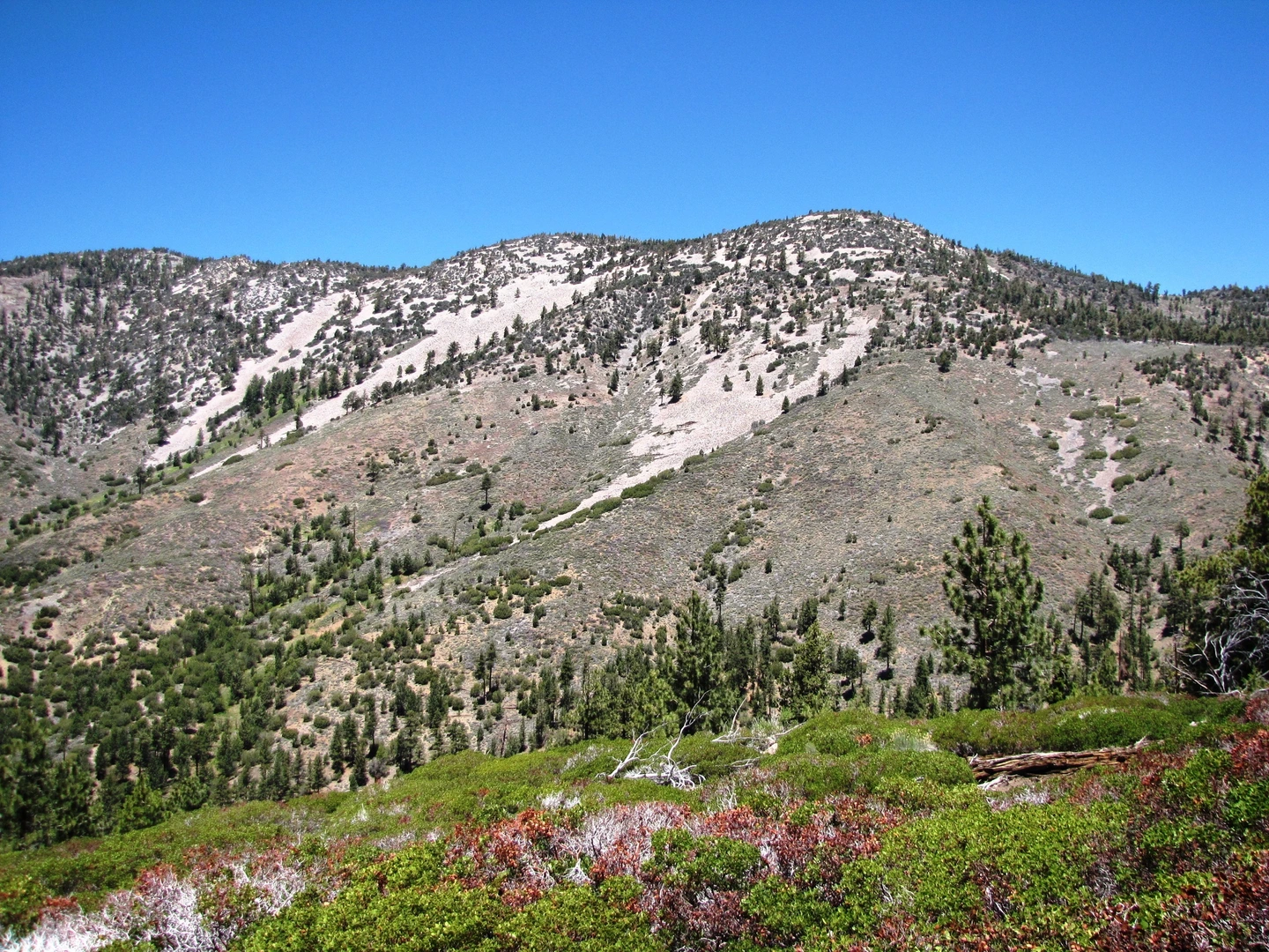An image depicting the trail Sugarloaf Mountain via Sugarloaf National Recreational Trail and its surrounding area.