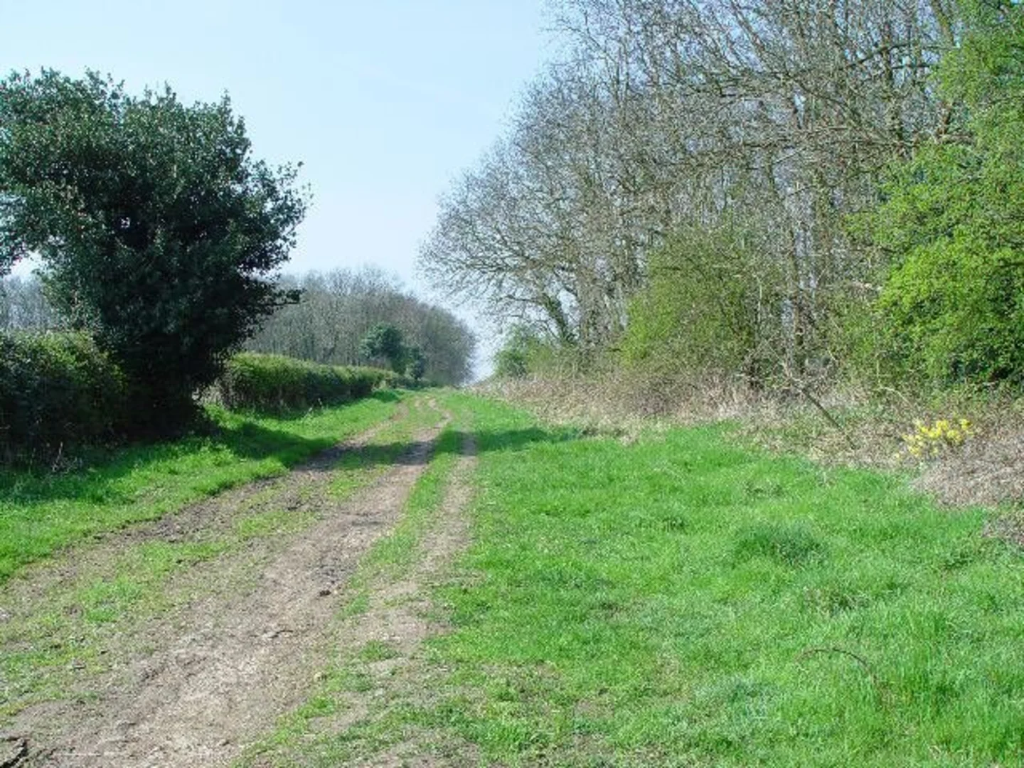 An image depicting the trail Scarbro Wold Plantation Loop and its surrounding area.