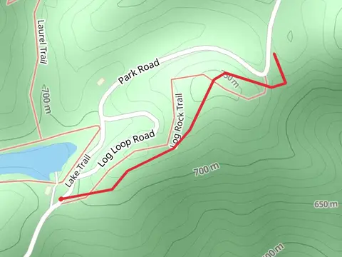 Log Rock Trail