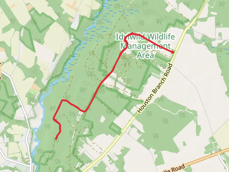 Twiford Meadow Ditch Walk