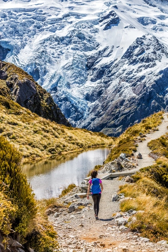 Mueller Hut Route