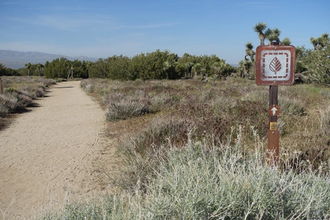 Ripley Rare Juniper Loop Trail