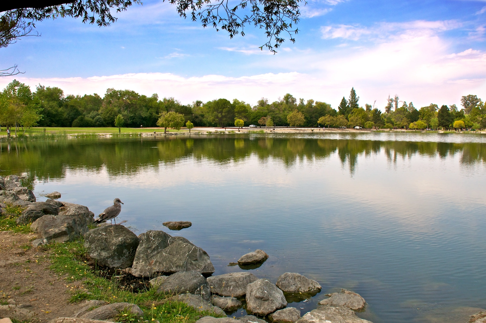 An image depicting the trail Coyote Creek Trail to Cottonwood Lake and its surrounding area.
