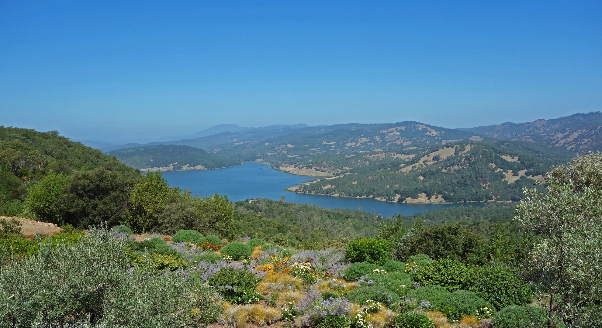 An image depicting the trail Valentine Vista and Moore Creek Pools and its surrounding area.